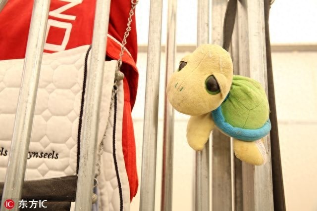独家揭秘环球马术冠军赛马匹上海新生活星级SPA玩偶作伴